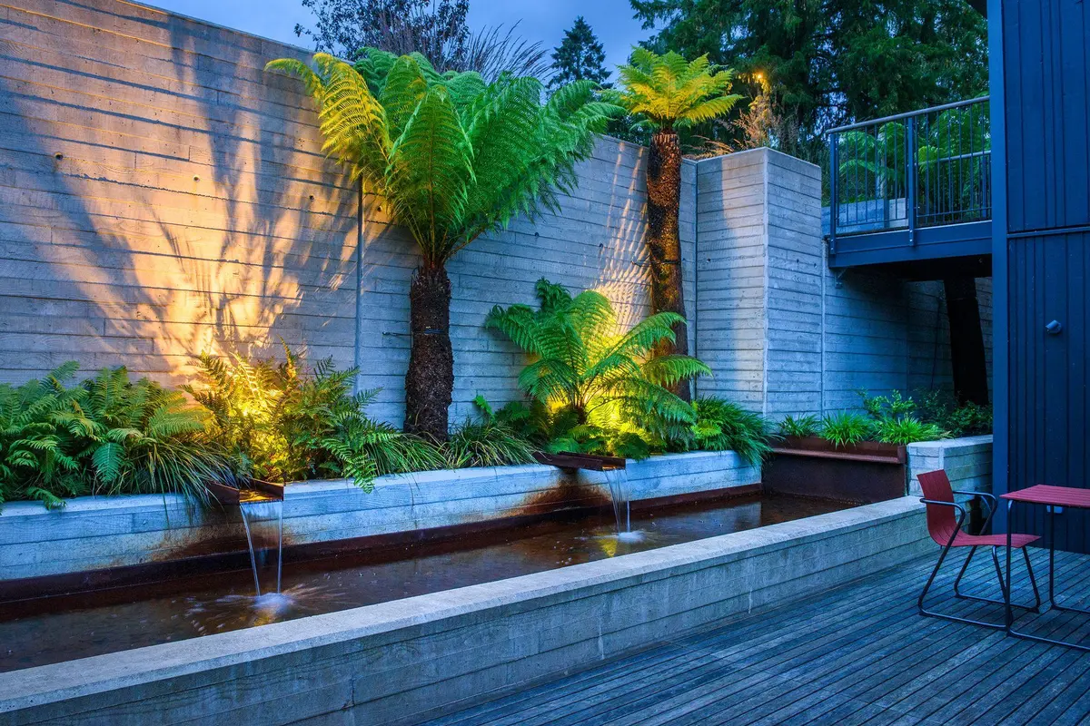A modern rear courtyard at dusk with a board-marked concrete wall warmly uplit, two tree ferns picked out, and corten steel spouts pouring into a still rill