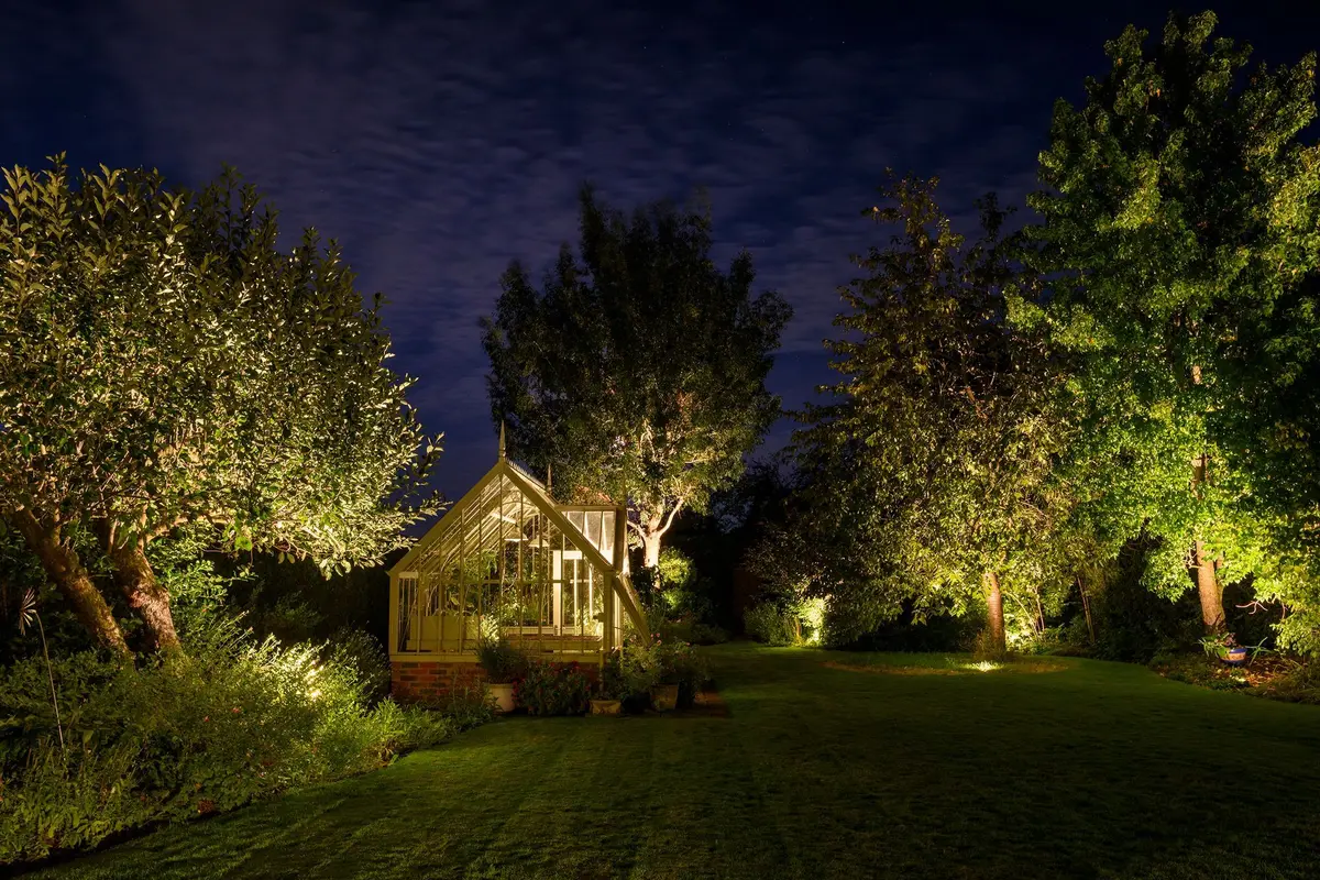 Uplit mature trees around a small greenhouse in an Eastbourne garden at dusk
