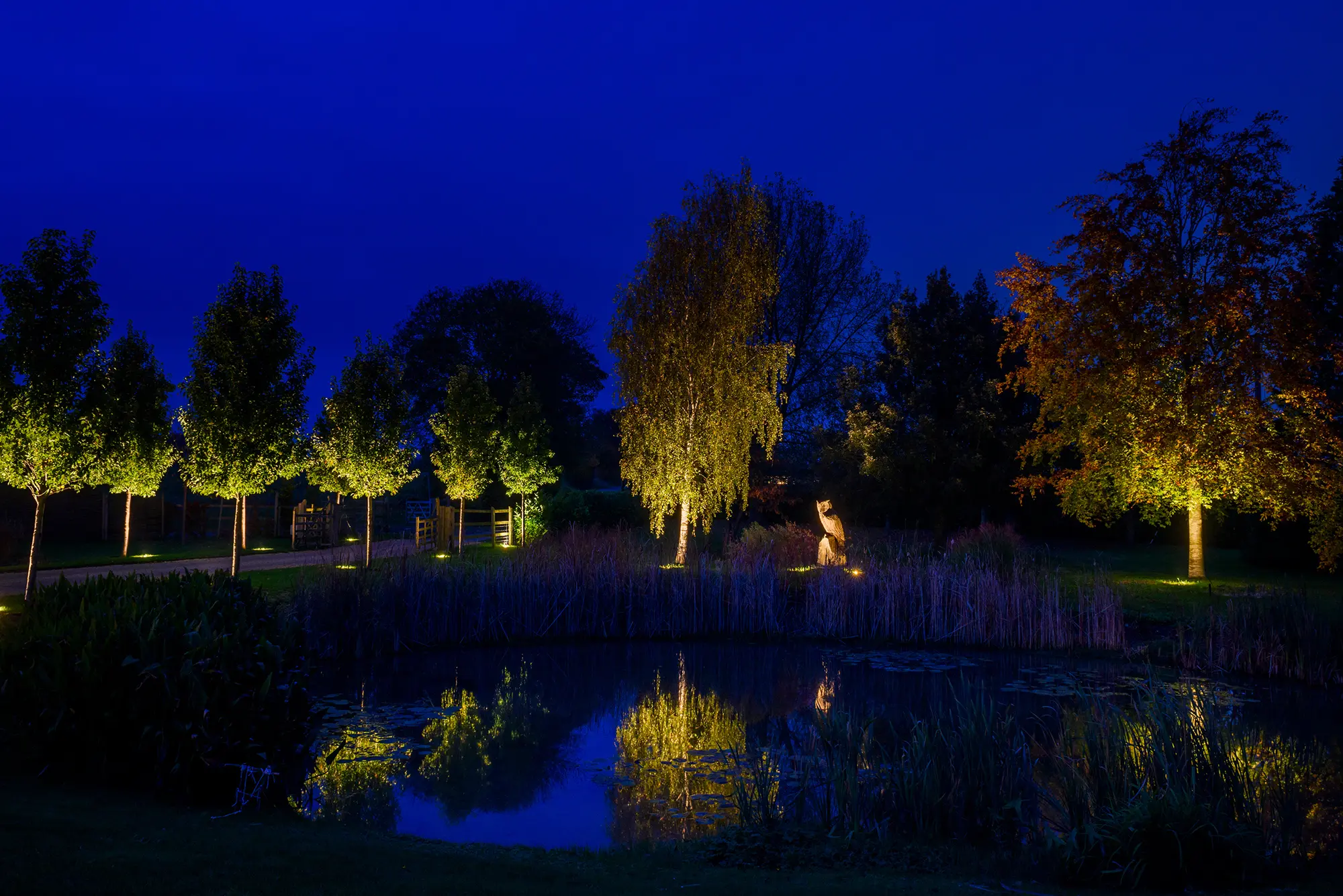 A garden pond at night with uplit trees reflected in the still water and a lit sculpture on the far bank
