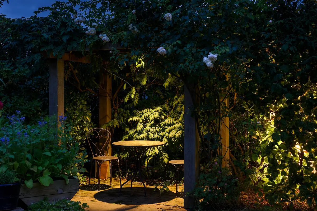 Warm-lit rose pergola over a bistro table in a coastal garden at night