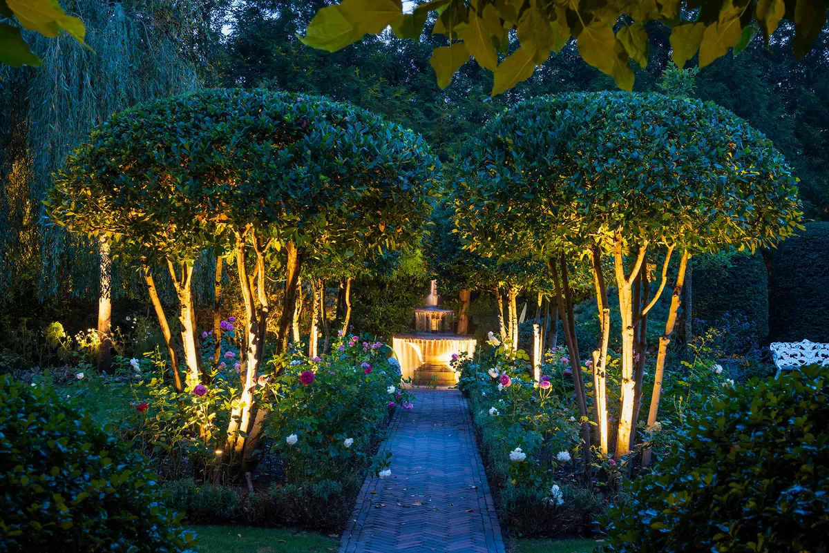 A formal rose garden with a lit stone fountain and warmly uplit standard bay trees flanking a brick path